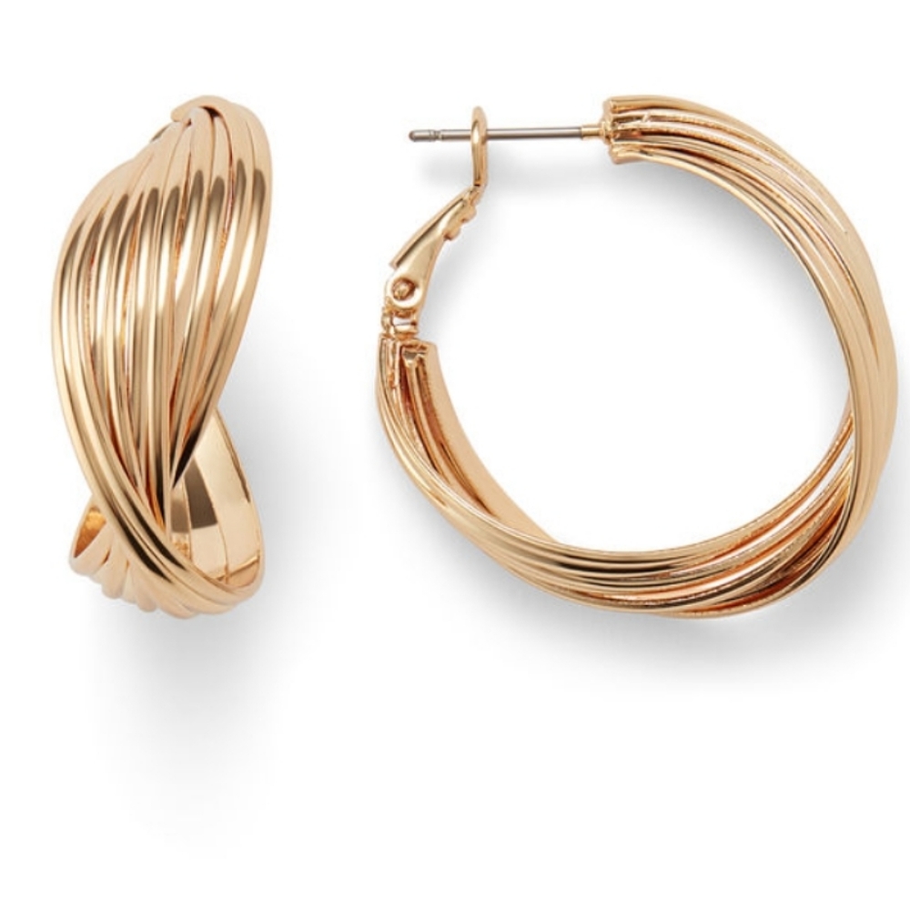 Aster Terra hoops